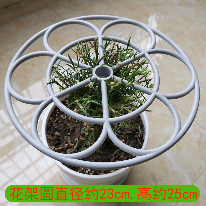 太阳花花架固定杆爬藤植物心叶球兰棒棒糖造型支撑花支架子虎雀a1个高