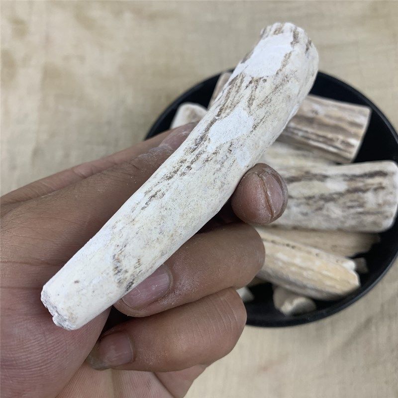 鹿角霜中药材500克马梅花鹿鹿角双 鹿角尖霜 另有鹿角霜粉古琴 500g