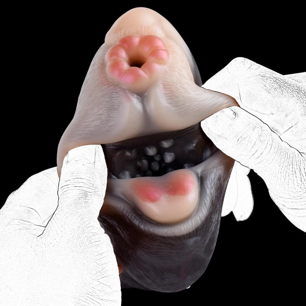 590ca0e59efcfaac.jpg