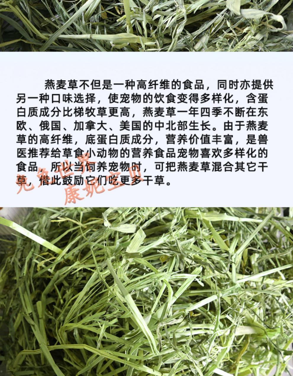 搭啵兔 燕麦草国产澳麦草兔干草主粮/零食龙猫牧草豚鼠牧草500克