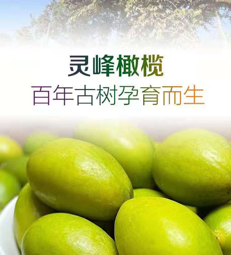 潮汕特产灵峰青橄榄果香甜现摘礼甜种凌峰橄榄新鲜生吃孕妇水果 凌峰