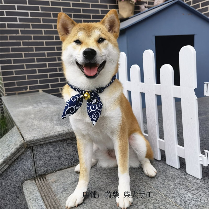 拉布拉多领结狗狗的领结蝴蝶结和风唐草纹脖圈宠物猫咪柴犬布偶猫项链