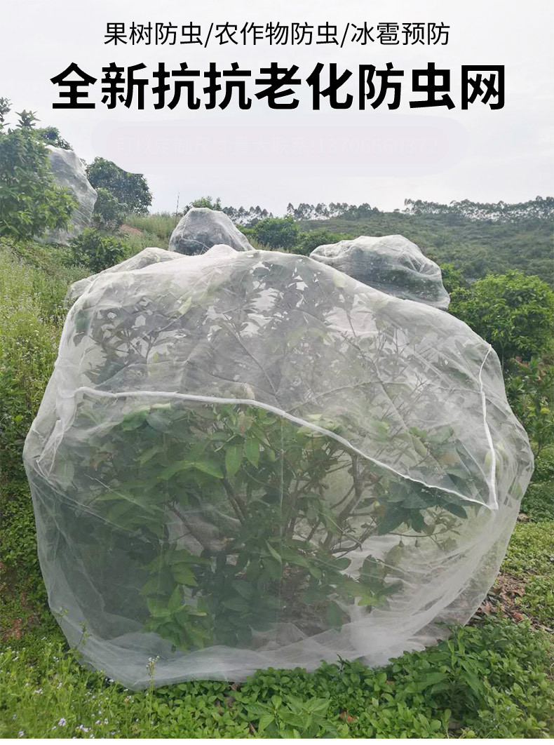 果树防鸟罩植物防虫网罩嘉宝果樱桃杨梅果树木蔬菜防虫防鸟网套防蚊蝇