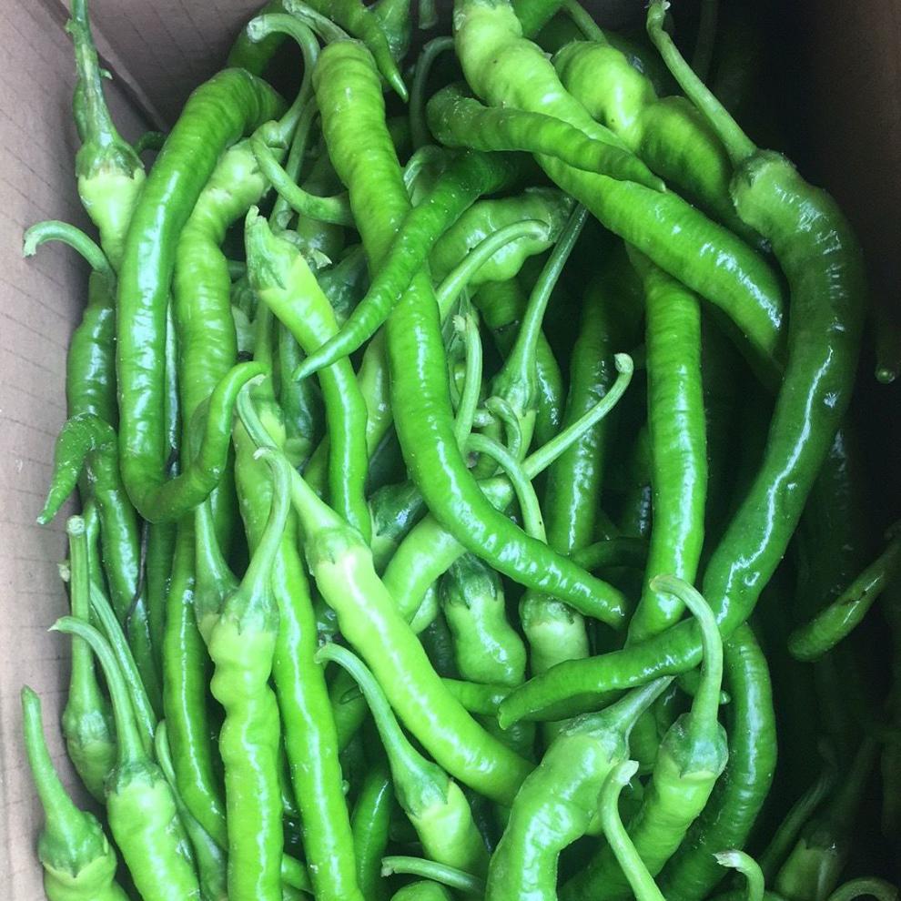 广西新鲜二荆条农家自种现摘微辣线辣椒长线椒条子椒5斤5斤装