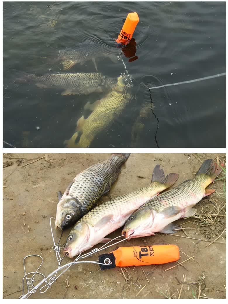 锁鱼扣活鱼扣便携式不锈钢路亚锁鱼器鱼锁大号大鱼大物拴鱼绳小号5锁