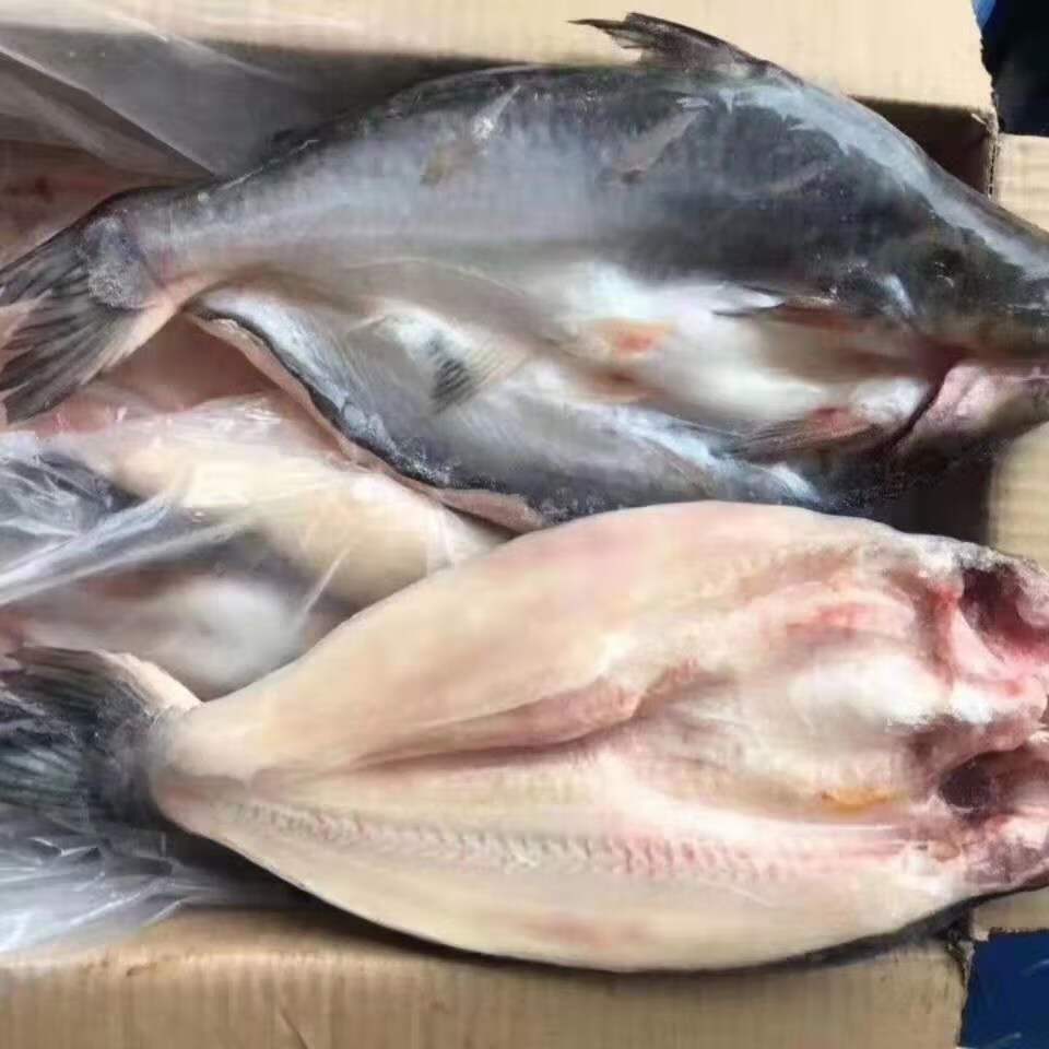 新鲜冷冻整条开背巴沙鱼湄公鱼龙利鱼开背净膛烤鱼速冻深海海鲜两条装