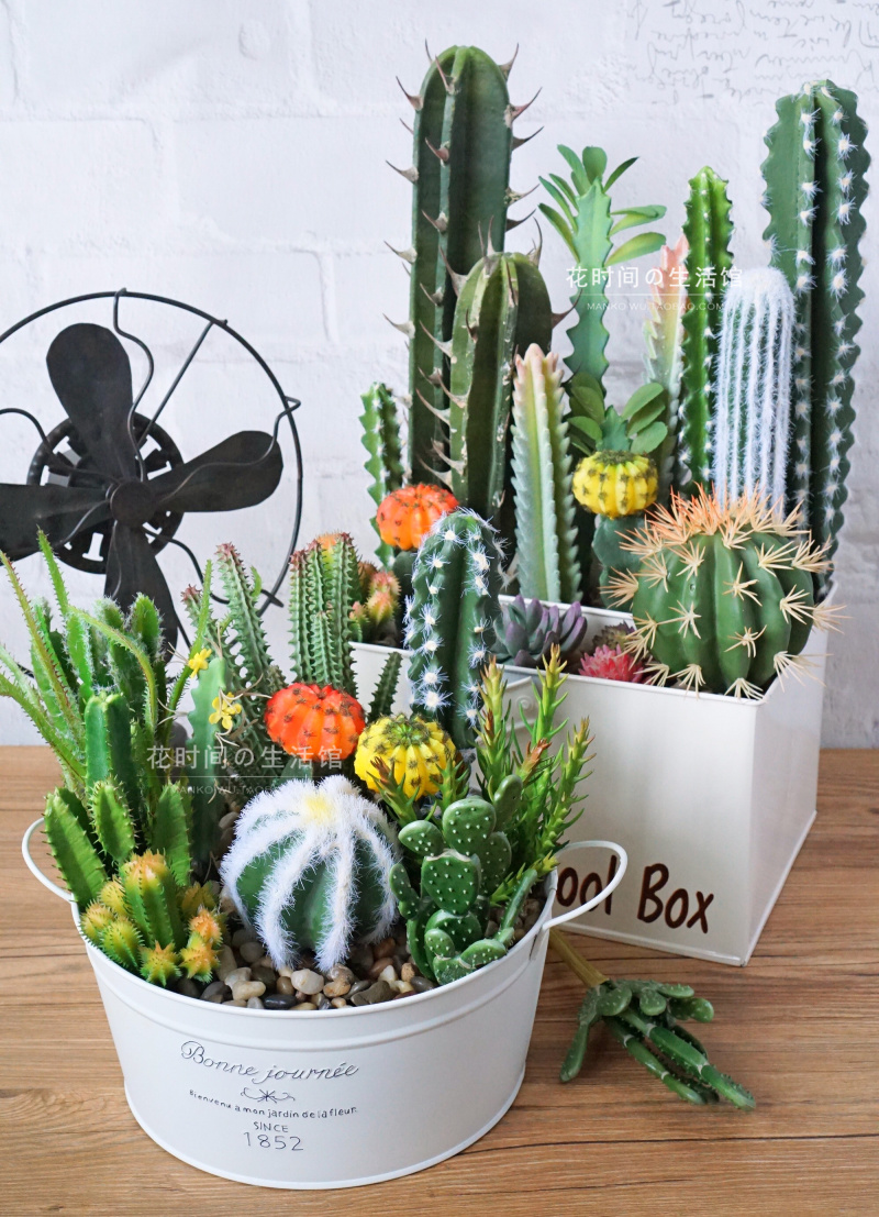 仿真多肉植物仙人掌仙人柱摆件假花组合套装ins北欧风格家居装饰 h款