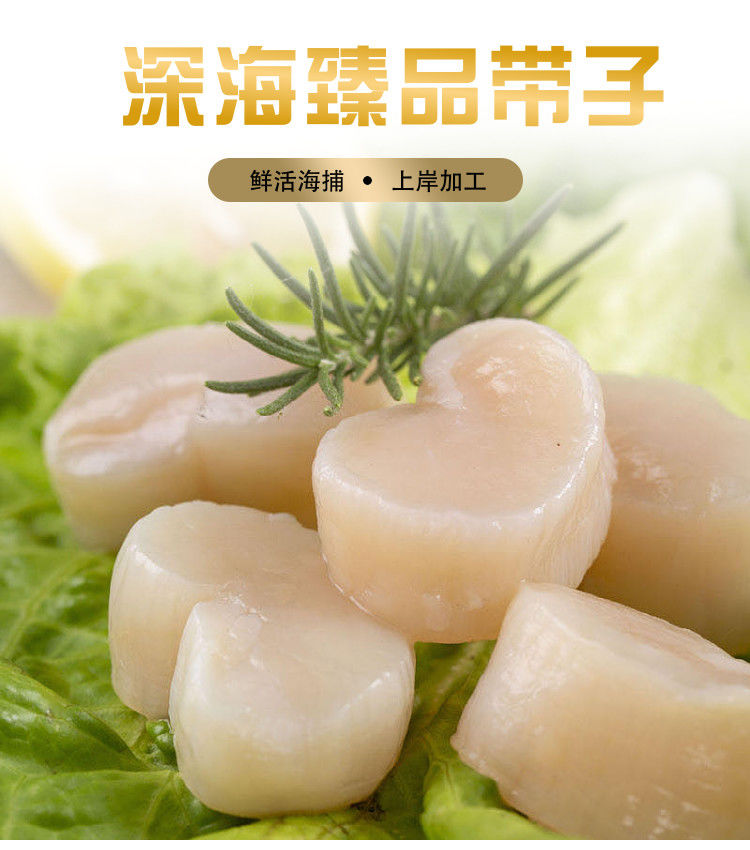 老扣手工活剥海鲜带子大贝柱帆立刺身特大扇贝柱扇贝瑶柱500g人工手剥