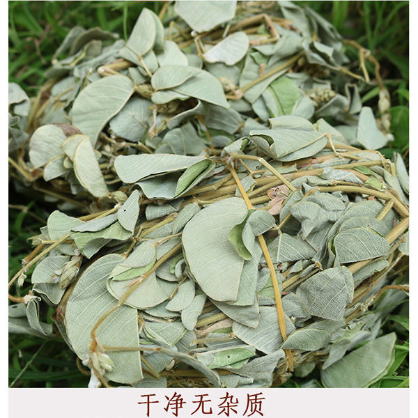 广西金钱草中草药茶正宗新鲜晒干野生天然大叶全草切断泡茶金钱草500