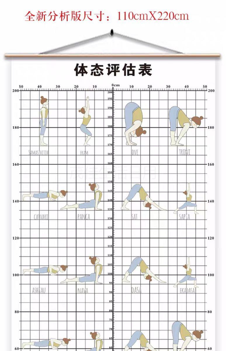 體態評估表掛式體態評估表工作室健身房牆貼瑜伽館中醫養生館人體體測