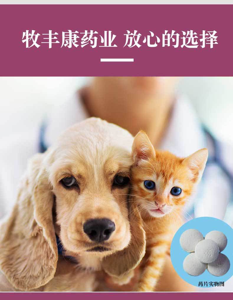 宠物药品狗狗猫咪药尿路感染阿莫西林片口炎猫支鼻治疗片5盒