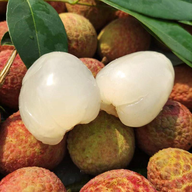 桂花香荔枝新鲜水果海南空运现货时令水果荔枝3斤