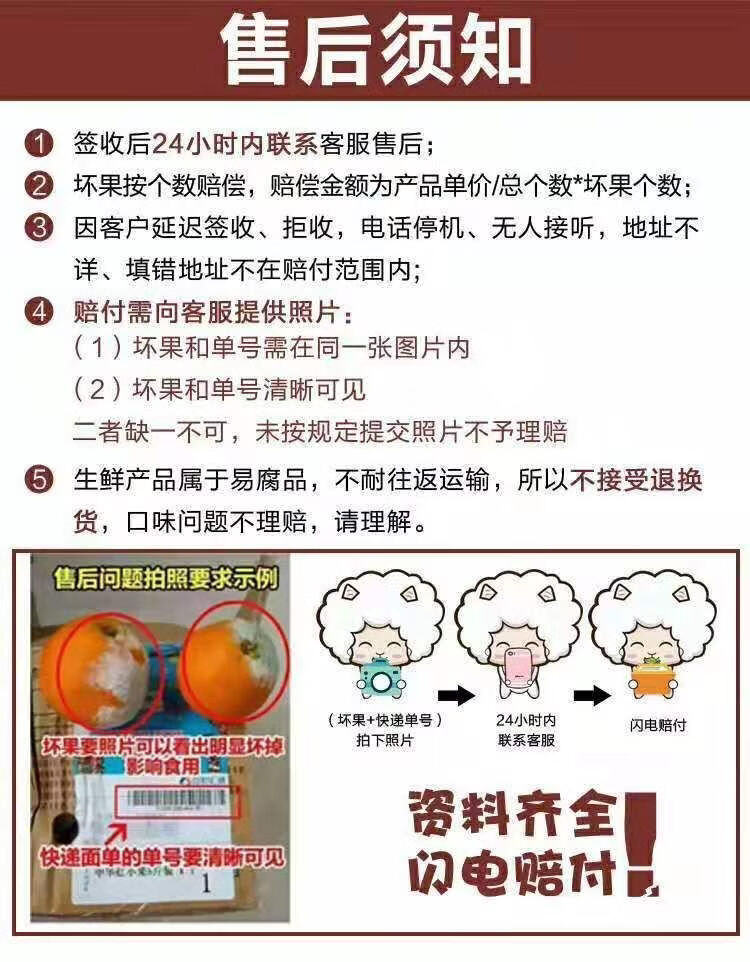 年货精选正宗江西赣南脐橙3510斤装橙子新鲜水果批发孕
