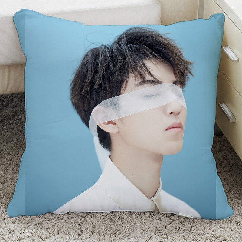 王俊凯周边抱枕王俊凯周边抱枕被子定制礼物靠垫玩偶应援同款tfboys