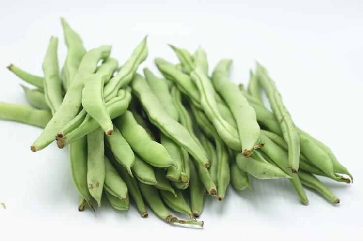 绿鲜森四季豆新鲜扁豆芸豆角蔬菜 新鲜三斤装