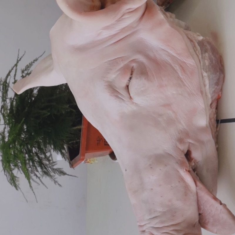 杀猪头整只1820斤生猪头整个骨头新鲜冷冻年货自制猪头肉冰冻大猪脸生