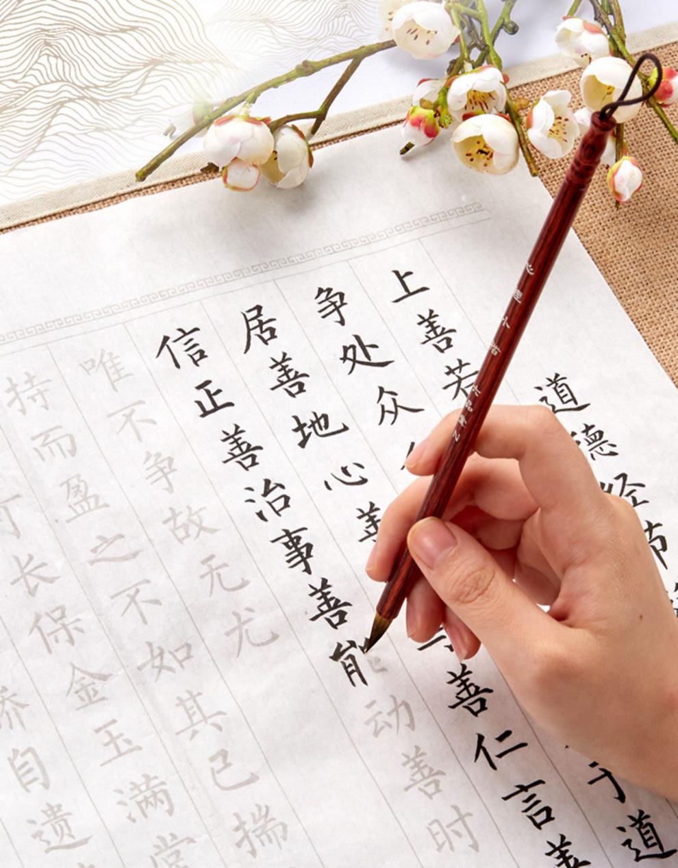 {诺诗诺}小楷毛笔字帖手抄佛经心经抄经本初学入门临摹套装半生半熟