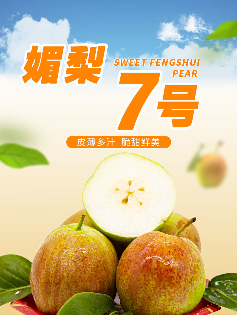 正宗阳信7号媚梨富硒梨新梨香梨新鲜现摘孕妇水果35斤5斤中果