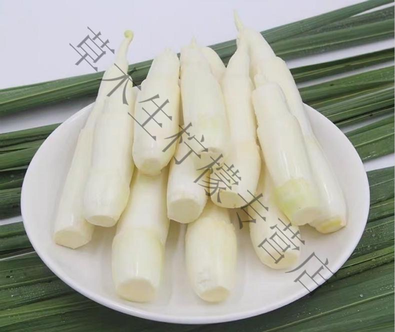 湖北新鲜茭白菰笋茭笋茭儿菜农家蔬菜食用沙拉 3斤