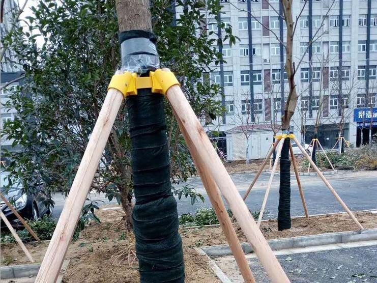 大树支架树木支架园林绿化工程防风支撑架杆固定器塑料套杯扎绑带大树