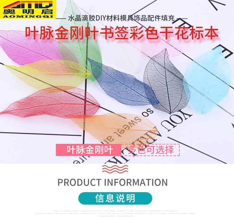水晶滴胶diy材料模具饰品配件填充叶脉金刚叶书签彩色干花标本金刚叶5片 水蓝 图片价格品牌报价 京东