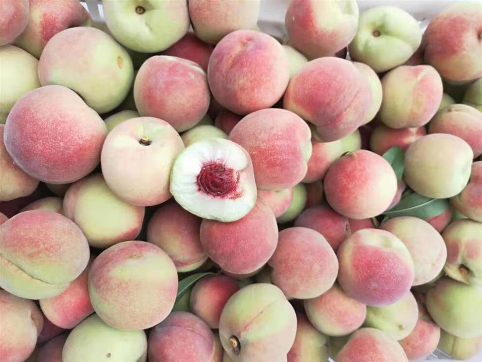 朵蕙 山东青州毛桃水蜜桃5斤脆甜桃子新鲜当季孕妇水果雪桃 2500g