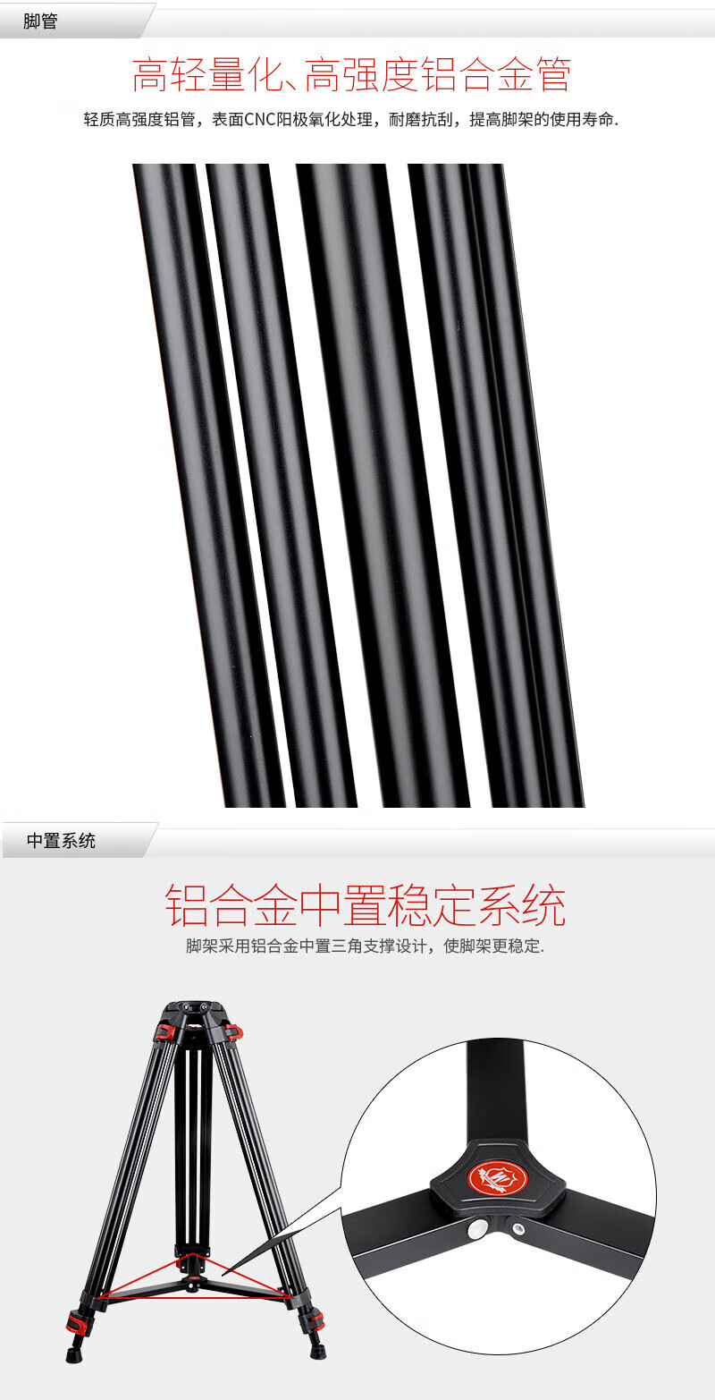 d84f38ec7d38c19c.jpg
