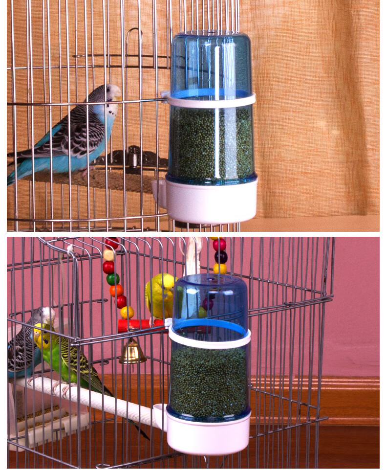 鸟用饮水器自动喂食喂水器鹦鹉食盒鸟食罐鸟笼配件鸟具用品喝水的