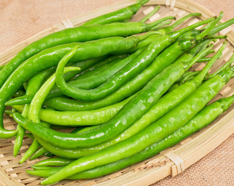 广西新鲜二荆条农家自种现摘微辣线辣椒长线椒条子椒5斤5斤装