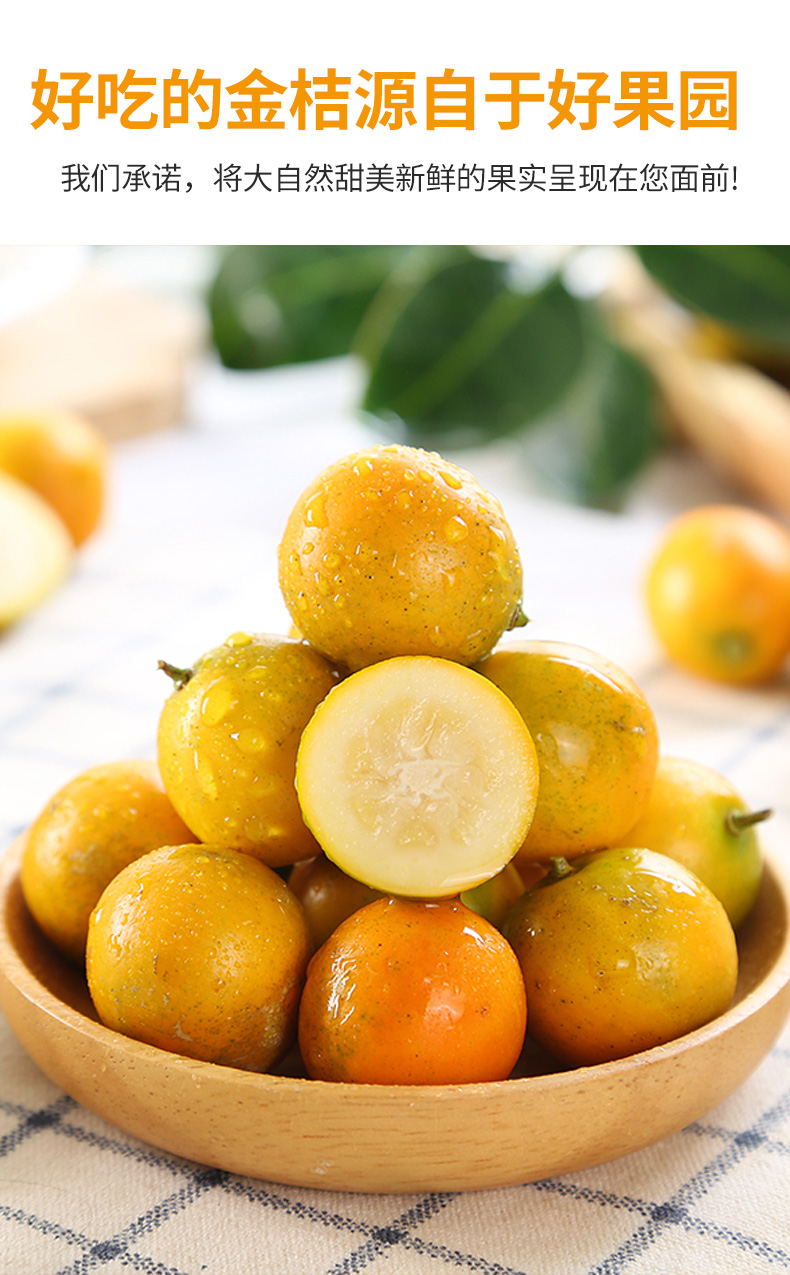 桂林脆皮金桔广西小金桔5斤纯甜柑橘子新鲜水果当季整箱1斤实惠小果1