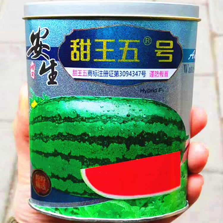 西农八号西瓜种子特大懒汉甜王西瓜种籽超甜四川春季田园水果种孑西农