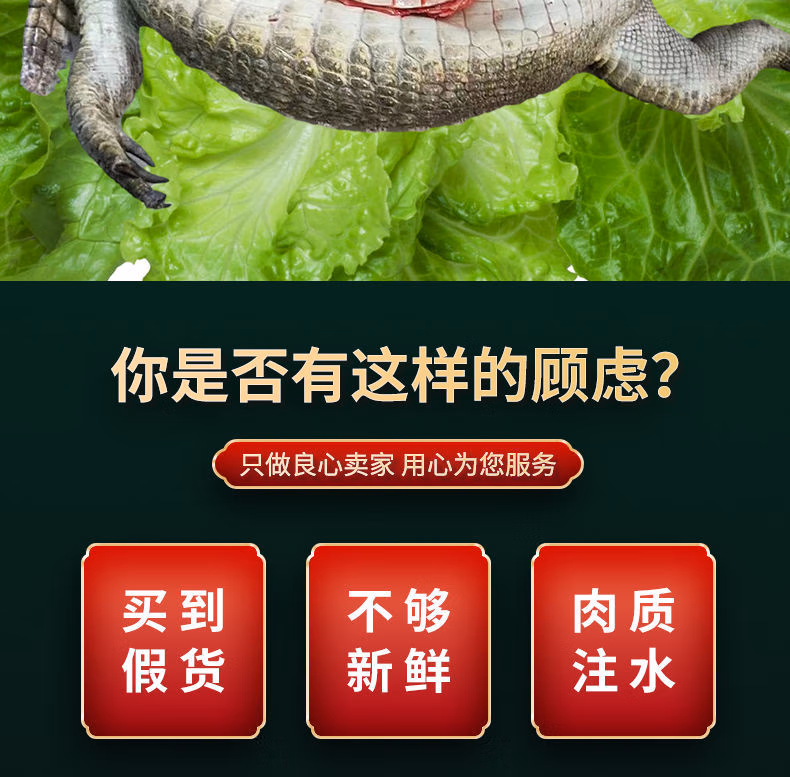 9ea7f5f384cd8f5d.jpg.avif