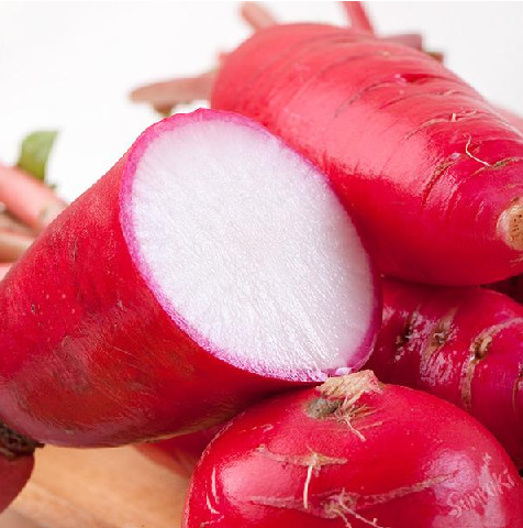 萝卜种子耐热夏季秋季四季杂交蔬菜种孑大红袍双红一号新双红5袋100克