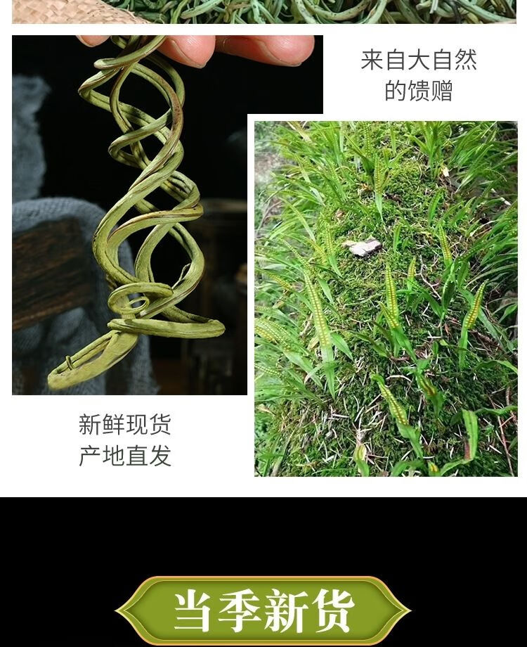 云南化石草结石野生肾精茶 化石草500克【赠金丝皇