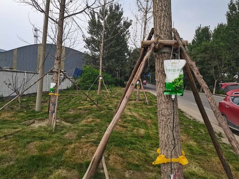 大树营养液树木吊针液激活液乔木移栽桂花吊袋液复壮催芽生根成活 2袋