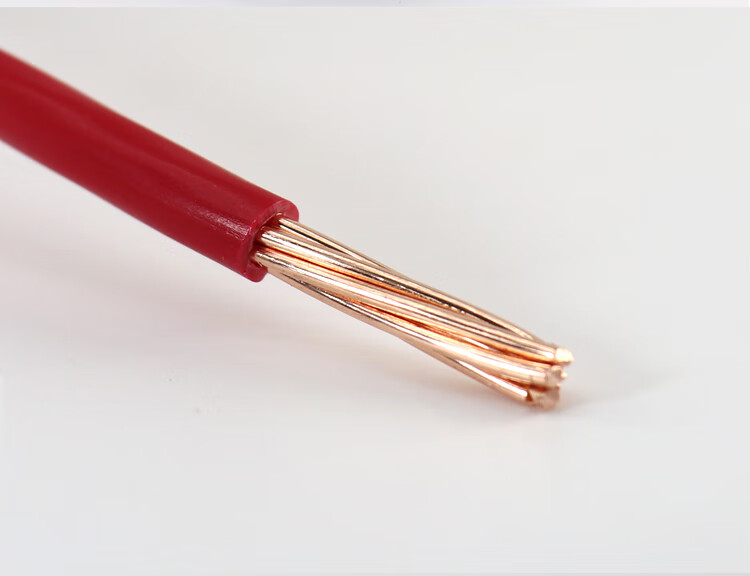 小郎人武汉二厂电线bv1016平方飞鹤单芯硬线纯铜芯家装入户线家用零剪