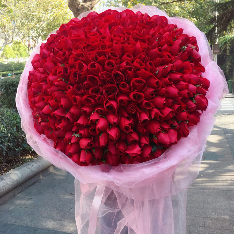 男生送女朋友或者喜欢的女生玫瑰花的时候,很多时候会送十一;13