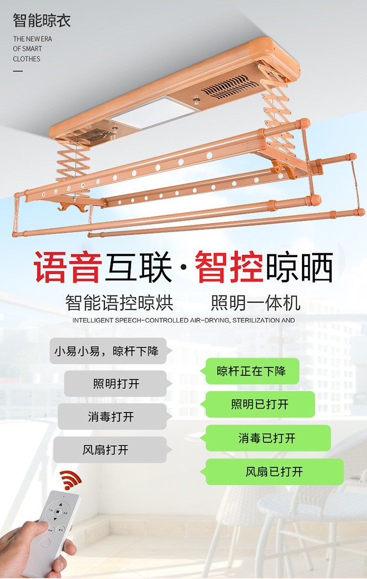 黎尧电动晾衣架铝合金晾衣杆全自动智能升降伸缩晒衣架衣服架阳台室外晒衣机多功能烘干风干无线遥控挂衣架 玫瑰金 四杠(遥控升降+照明)