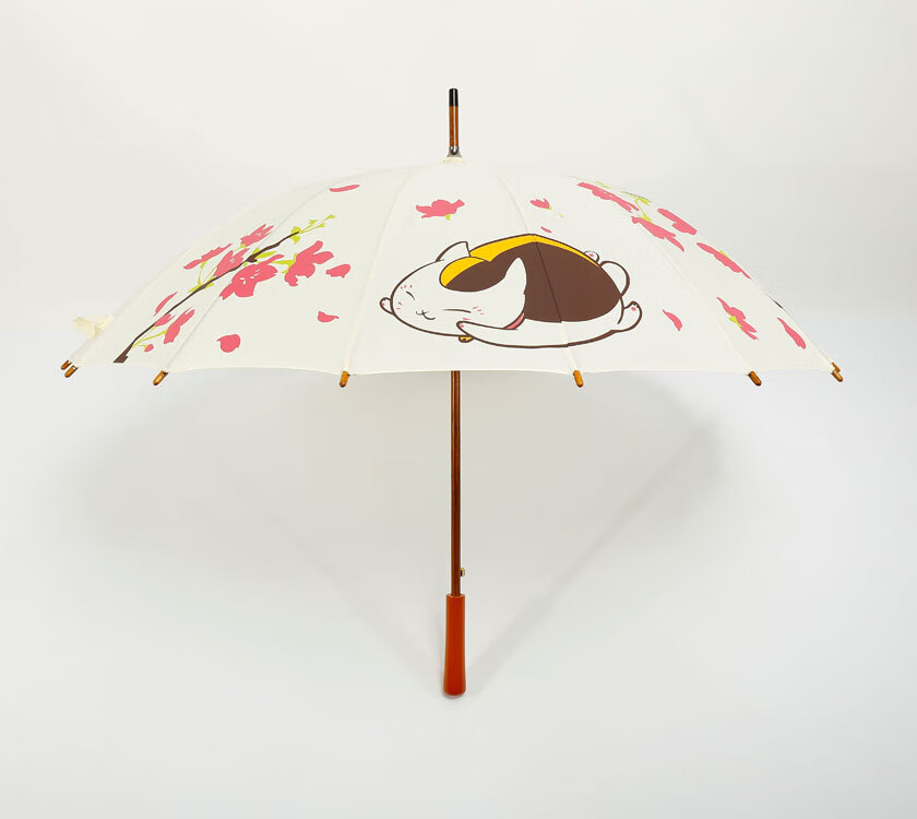 新品动漫伞宫崎骏动漫16骨自动龙猫伞超大晴雨两用伞浪漫樱花猫咪长柄