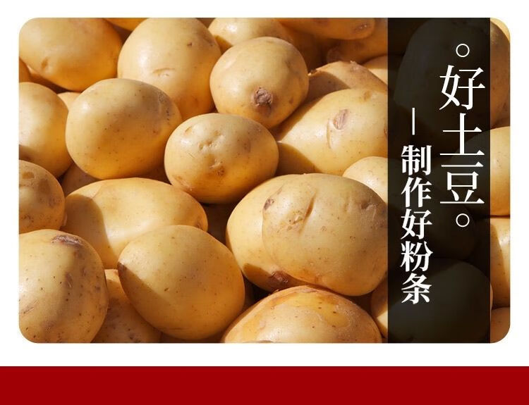 山西临县农纯手工土豆粉条宽粉细粉无火锅粉丝干粉 细粉条1袋