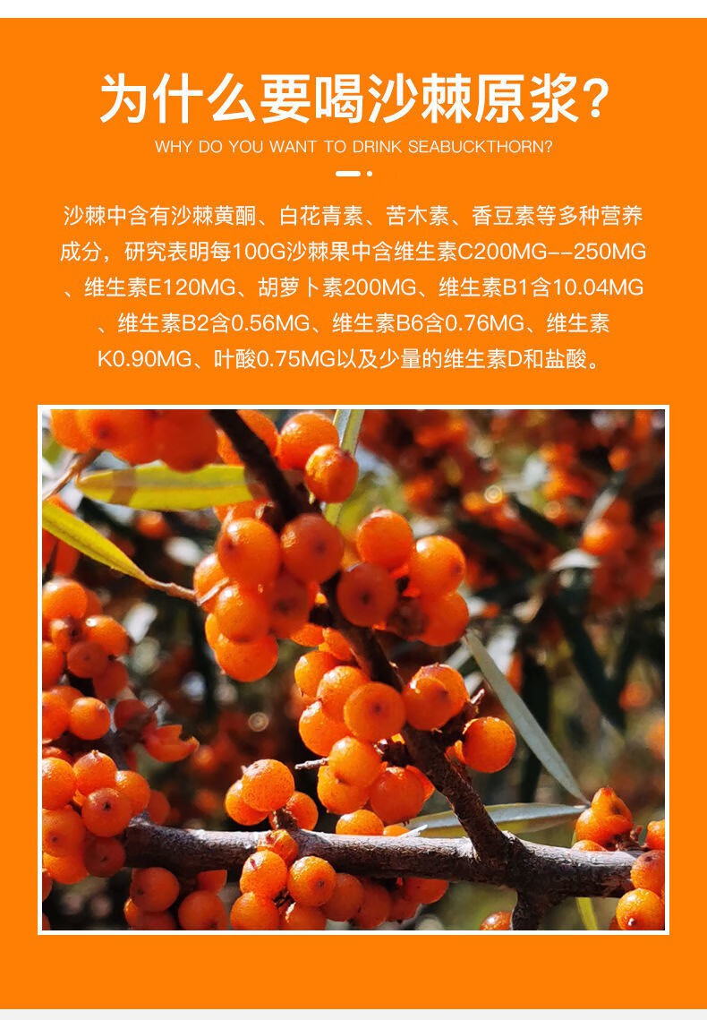【好货严选】蒙草小果沙棘原浆 内蒙纯沙棘原浆液小果沙棘汁茶含油无