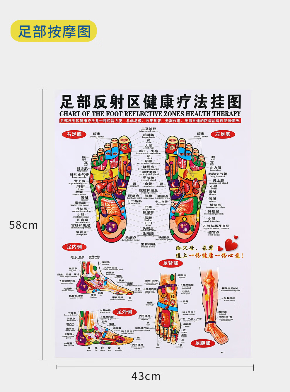礼达康人体穴位图艾灸经穴部位图人体经穴部位图头部按摩图人体经络图