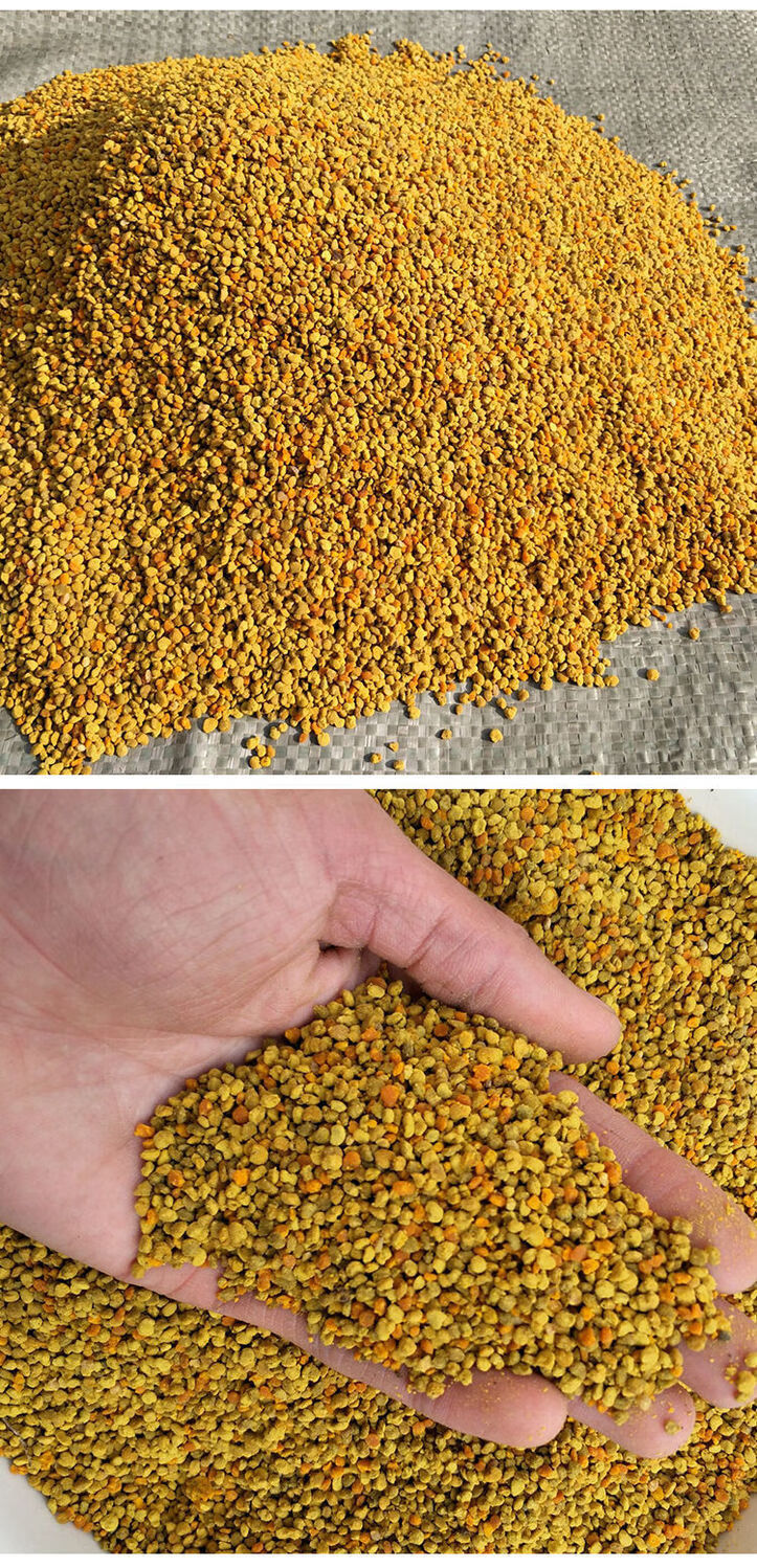喂蜂花粉颗粒花粉蜂粮油菜杂花粉蜜蜂饲料养蜂专用喂蜂代用饲料官方