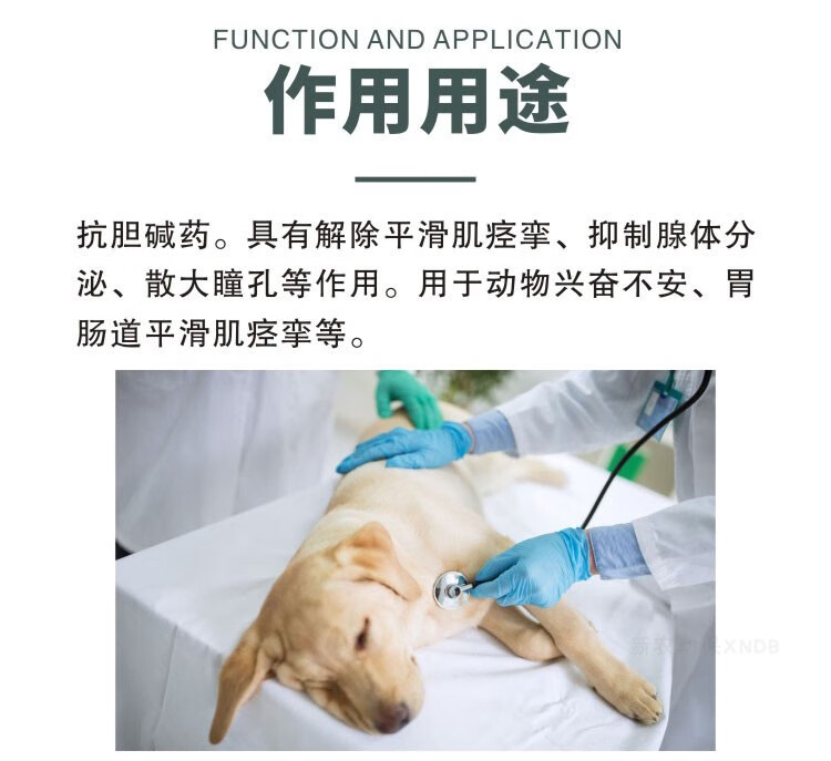 兽用兽药6542针剂猪牛羊犬胃肠绞痛呕吐解毒氢溴酸东莨菪碱注射液10盒