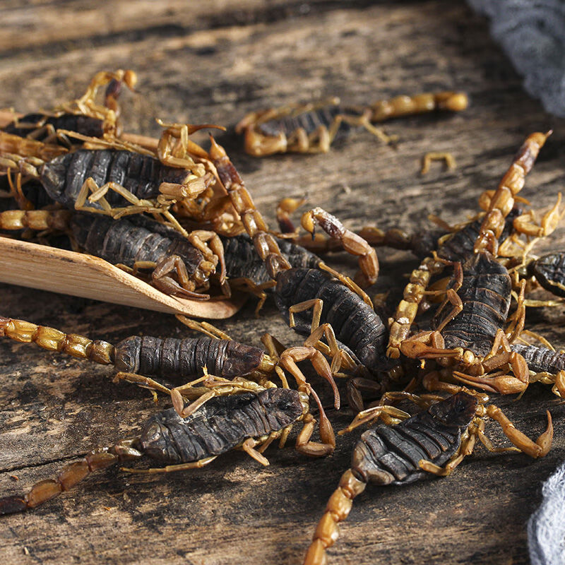 北京同仁堂中药材全蝎蝎子干全虫清水蝎子泡酒全虫全干食用蝎子20100g