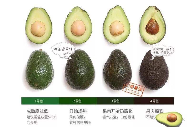 年货精选墨西哥牛油果批发新鲜鳄梨宝宝辅食孕妇水果特大果整箱当季