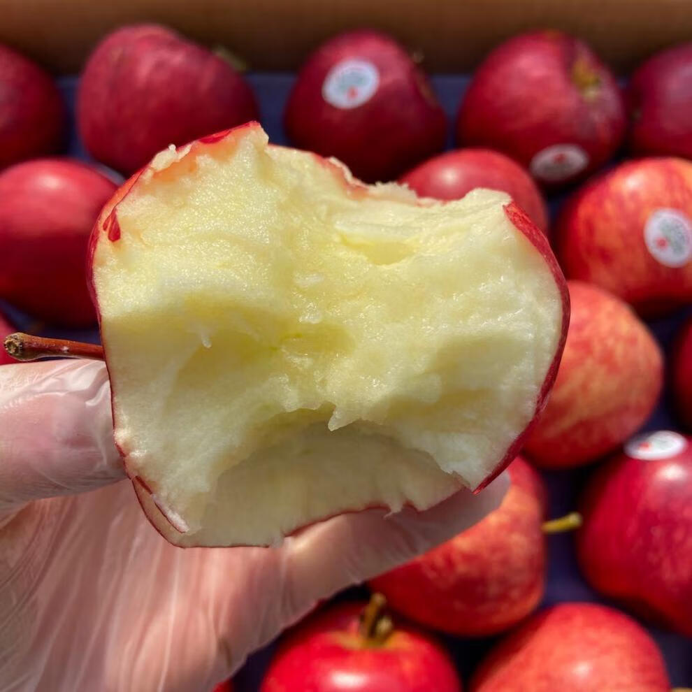 新西兰嘎啦果苹果12个新鲜苹果gala加力果姬娜果水果整箱团建送礼生鲜