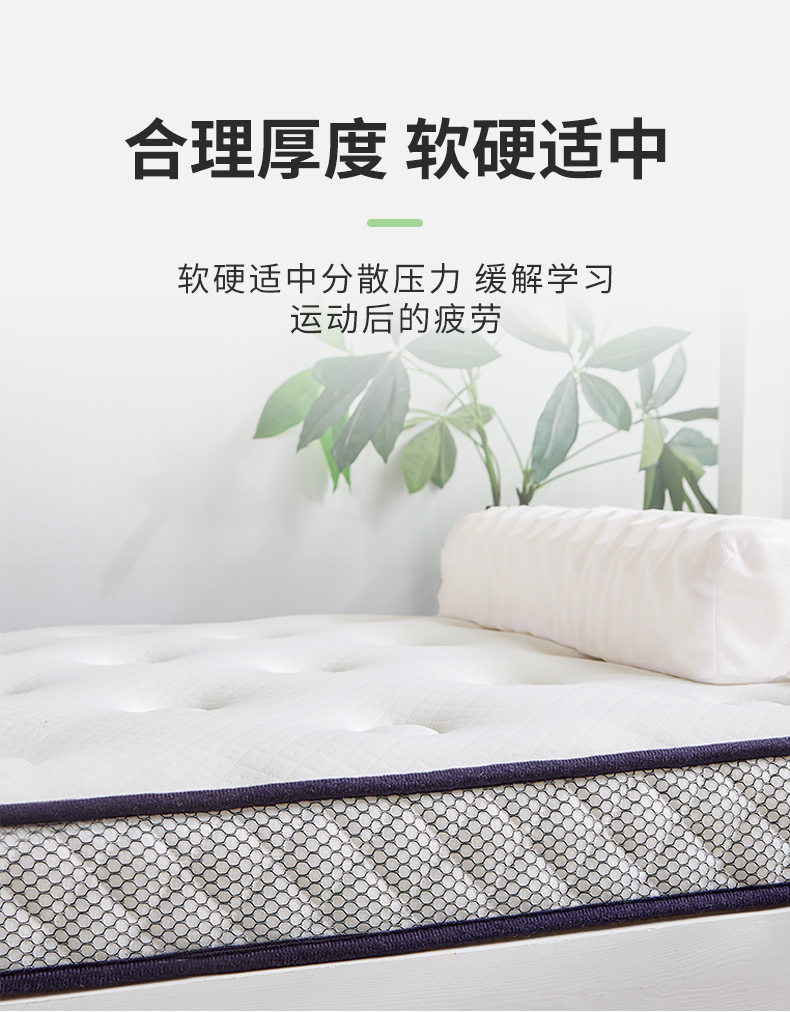 jace乳胶床垫乳胶床垫软垫80学生宿舍专用90x190cm单人家用珊瑚绒上