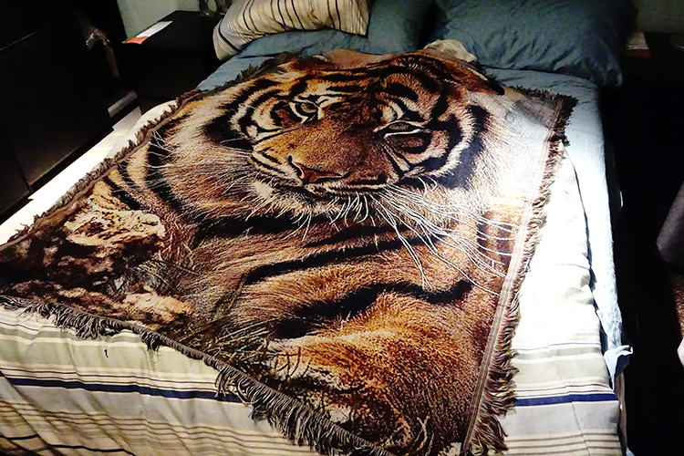 老虎毛毯虎头家居装修粗犷挂毯简约风格休闲毯盖毯创意寝室用毛毯绒毯