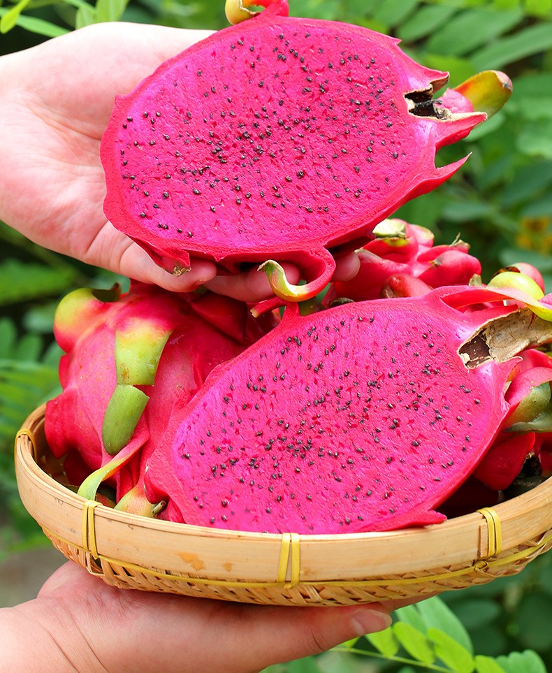 越南红心火龙果 新鲜水果 红肉 当季生鲜水果 优选中果 1250克【图片